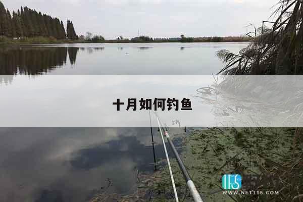 十月如何钓鱼