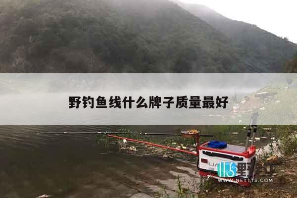 野钓鱼线什么牌子质量最好