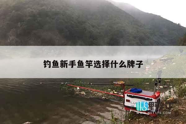 钓鱼新手鱼竿选择什么牌子