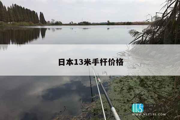 日本13米手杆价格
