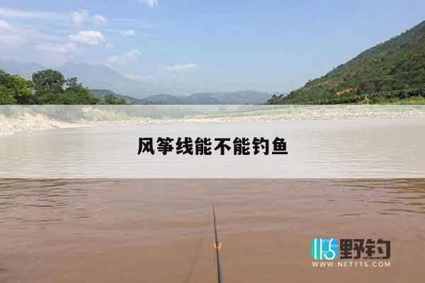 风筝线能不能钓鱼