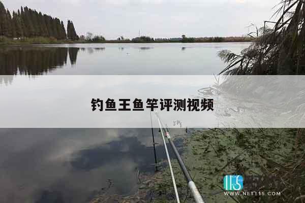 钓鱼王鱼竿评测视频