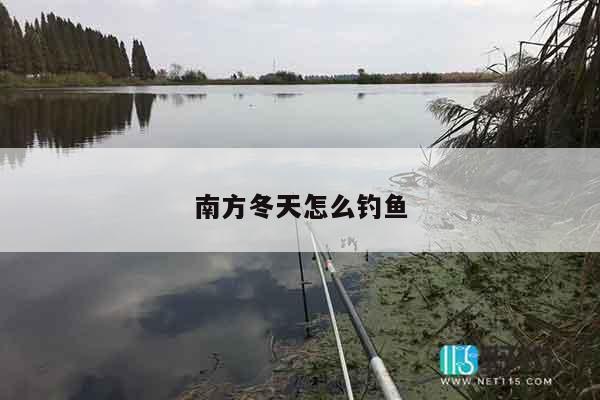 南方冬天怎么钓鱼
