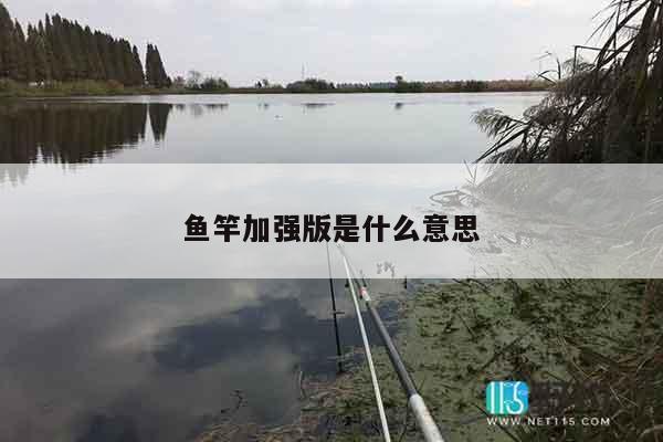 鱼竿加强版是什么意思