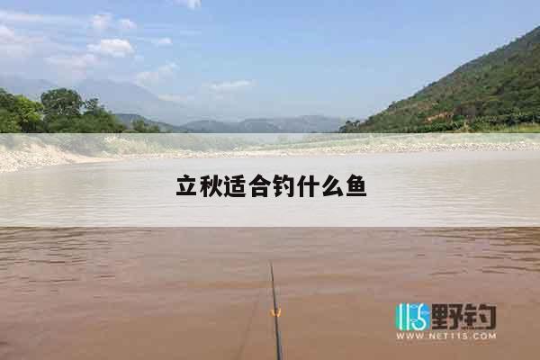 立秋适合钓什么鱼