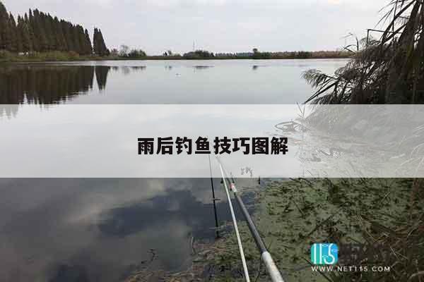 雨后钓鱼技巧图解