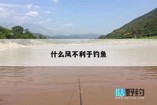 什么风不利于钓鱼