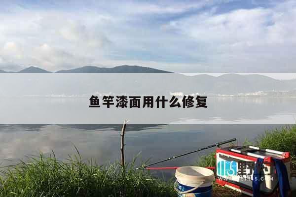 鱼竿漆面用什么修复