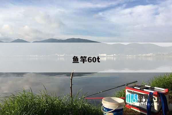 鱼竿60t