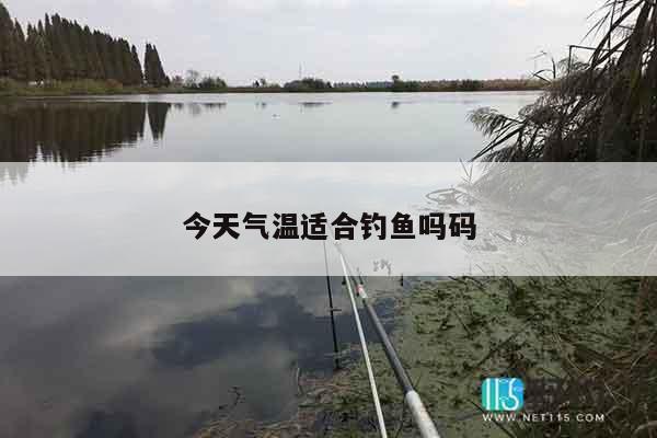 今天气温适合钓鱼吗码