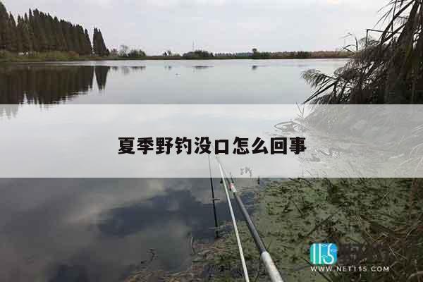 夏季野钓没口怎么回事