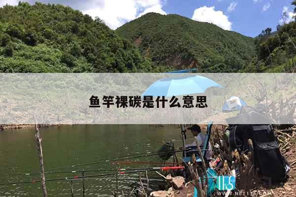 鱼竿裸碳是什么意思