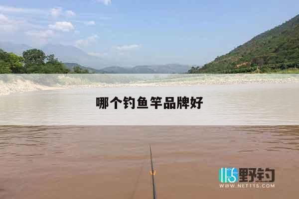 哪个钓鱼竿品牌好