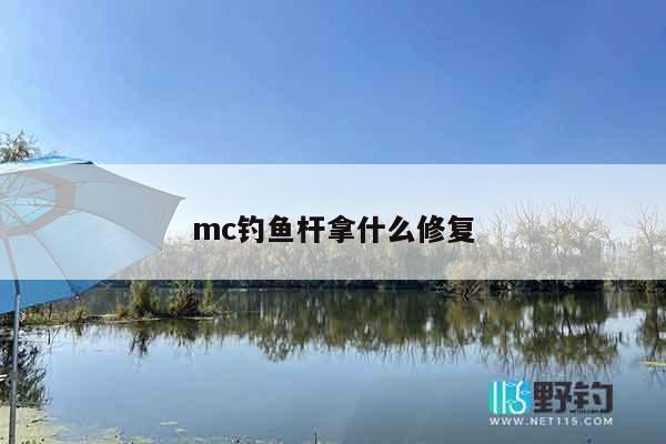 mc钓鱼杆拿什么修复
