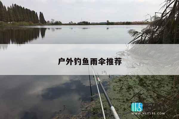 户外钓鱼雨伞推荐