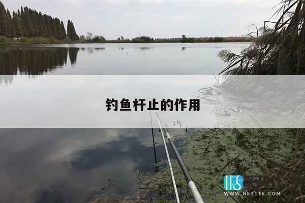 钓鱼杆止的作用