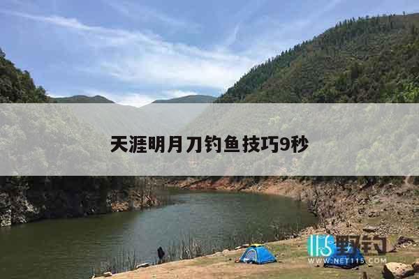 天涯明月刀钓鱼技巧9秒