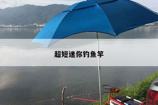 超短迷你钓鱼竿
