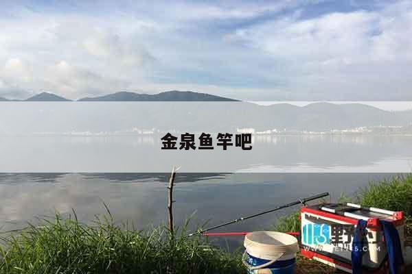 金泉鱼竿吧
