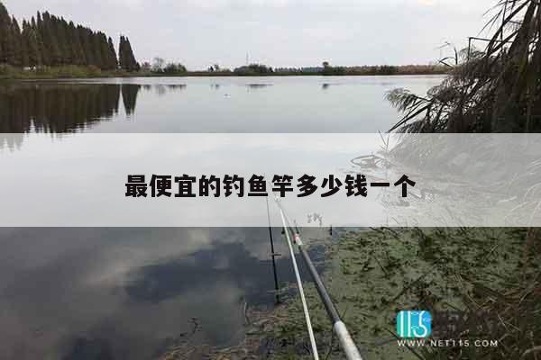 最便宜的钓鱼竿多少钱一个