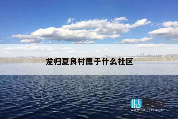 龙归夏良村属于什么社区