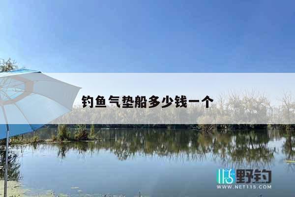 钓鱼气垫船多少钱一个