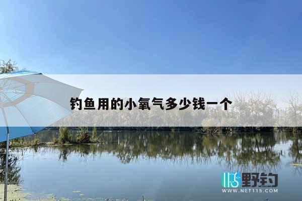 钓鱼用的小氧气多少钱一个