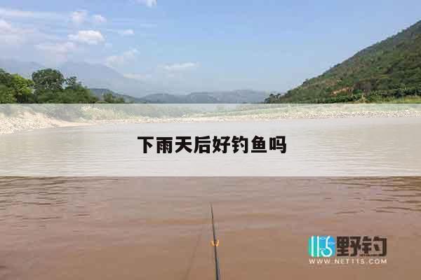 下雨天后好钓鱼吗
