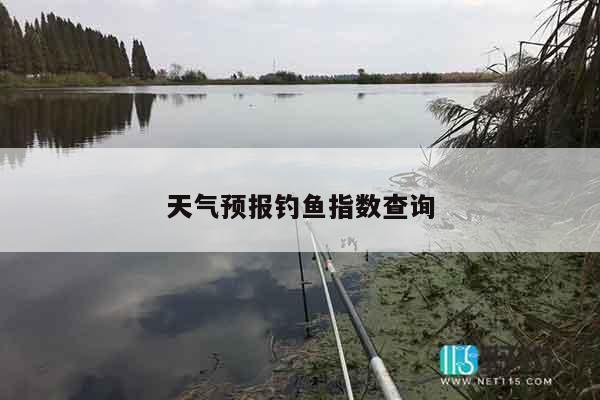 天气预报钓鱼指数查询