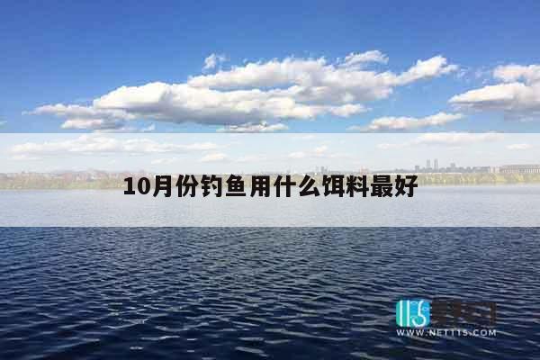 10月份钓鱼用什么饵料最好
