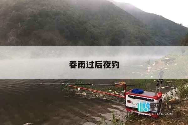 春雨过后夜钓