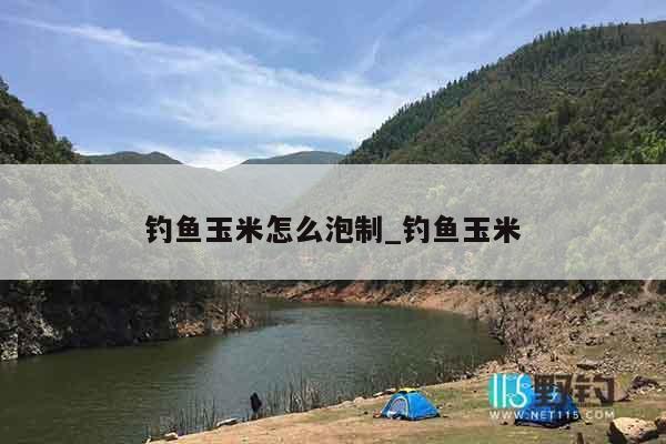 钓鱼玉米怎么泡制_钓鱼玉米