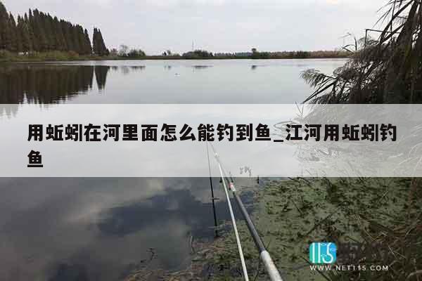 用蚯蚓在河里面怎么能钓到鱼_江河用蚯蚓钓鱼