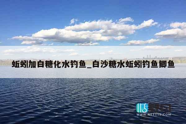 蚯蚓加白糖化水钓鱼_白沙糖水蚯蚓钓鱼鲫鱼