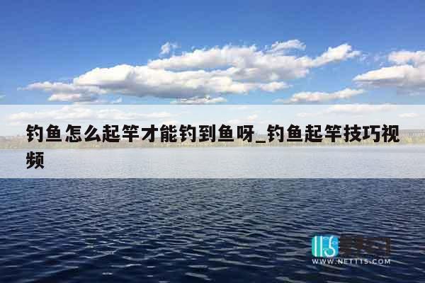 钓鱼怎么起竿才能钓到鱼呀_钓鱼起竿技巧视频