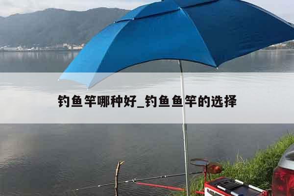钓鱼竿哪种好_钓鱼鱼竿的选择