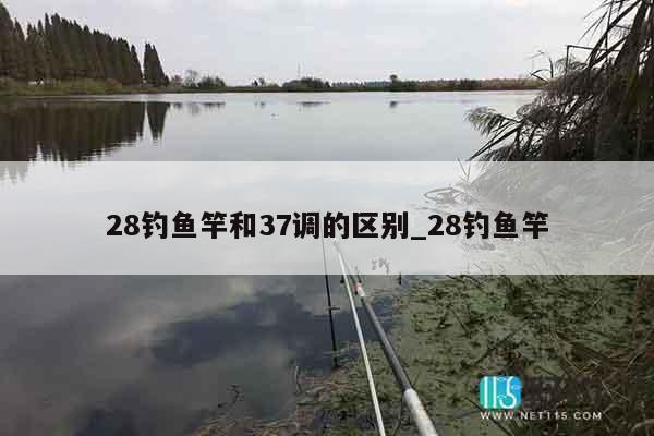 28钓鱼竿和37调的区别_28钓鱼竿