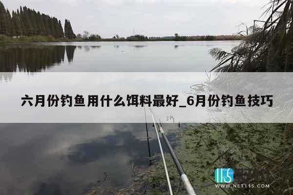 六月份钓鱼用什么饵料最好_6月份钓鱼技巧