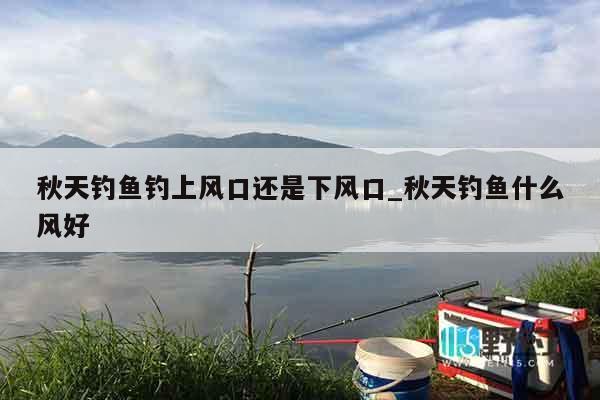秋天钓鱼钓上风口还是下风口_秋天钓鱼什么风好