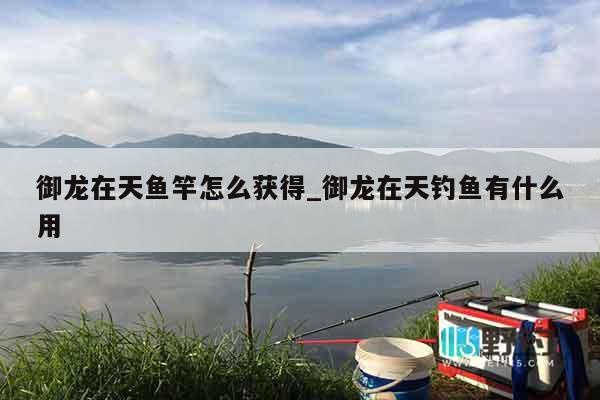 御龙在天鱼竿怎么获得_御龙在天钓鱼有什么用