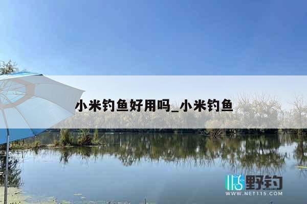 小米钓鱼好用吗_小米钓鱼