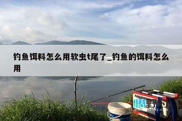 钓鱼饵料怎么用软虫t尾了_钓鱼的饵料怎么用