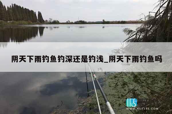 阴天下雨钓鱼钓深还是钓浅_阴天下雨钓鱼吗