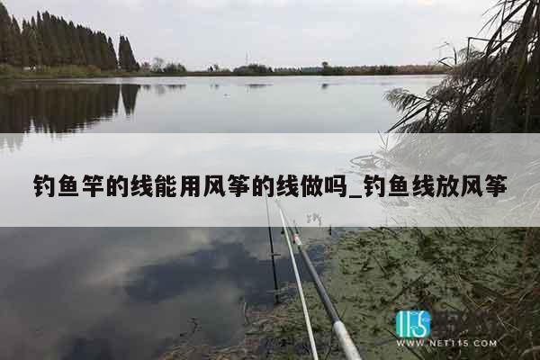 钓鱼竿的线能用风筝的线做吗_钓鱼线放风筝