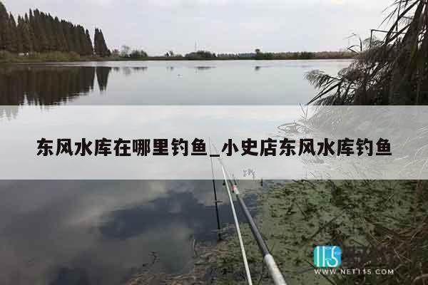 东风水库在哪里钓鱼_小史店东风水库钓鱼