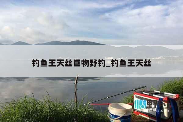 钓鱼王天丝巨物野钓_钓鱼王天丝