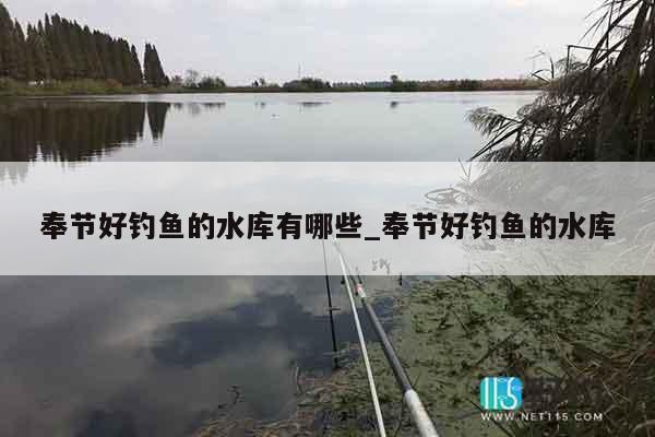 奉节好钓鱼的水库有哪些_奉节好钓鱼的水库