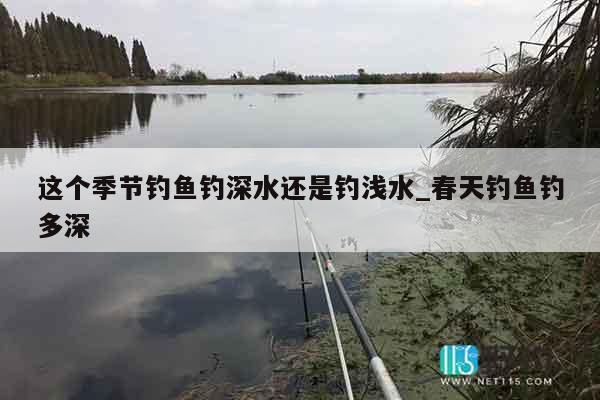 这个季节钓鱼钓深水还是钓浅水_春天钓鱼钓多深