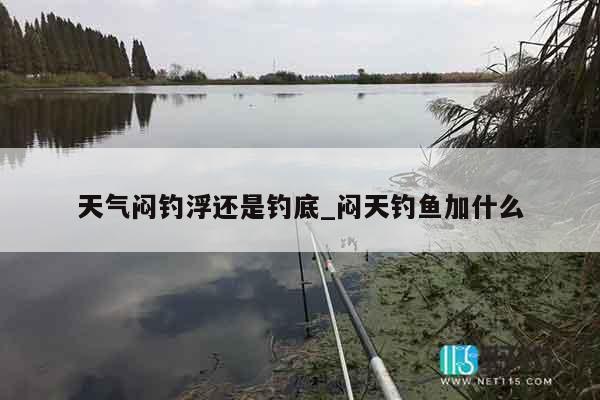 天气闷钓浮还是钓底_闷天钓鱼加什么