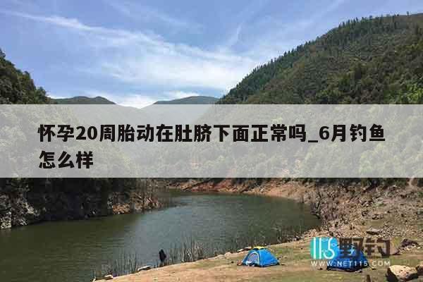 怀孕20周胎动在肚脐下面正常吗_6月钓鱼怎么样